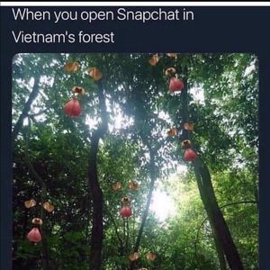 Meet your Posher, Jay